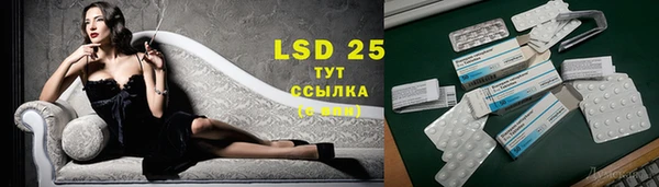 скорость Вяземский
