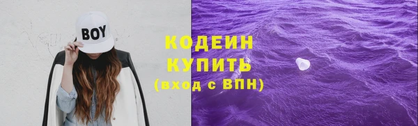 скорость Вяземский