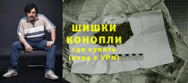 скорость Вяземский